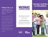 Influenza Immunization Pamphlet - Spanish