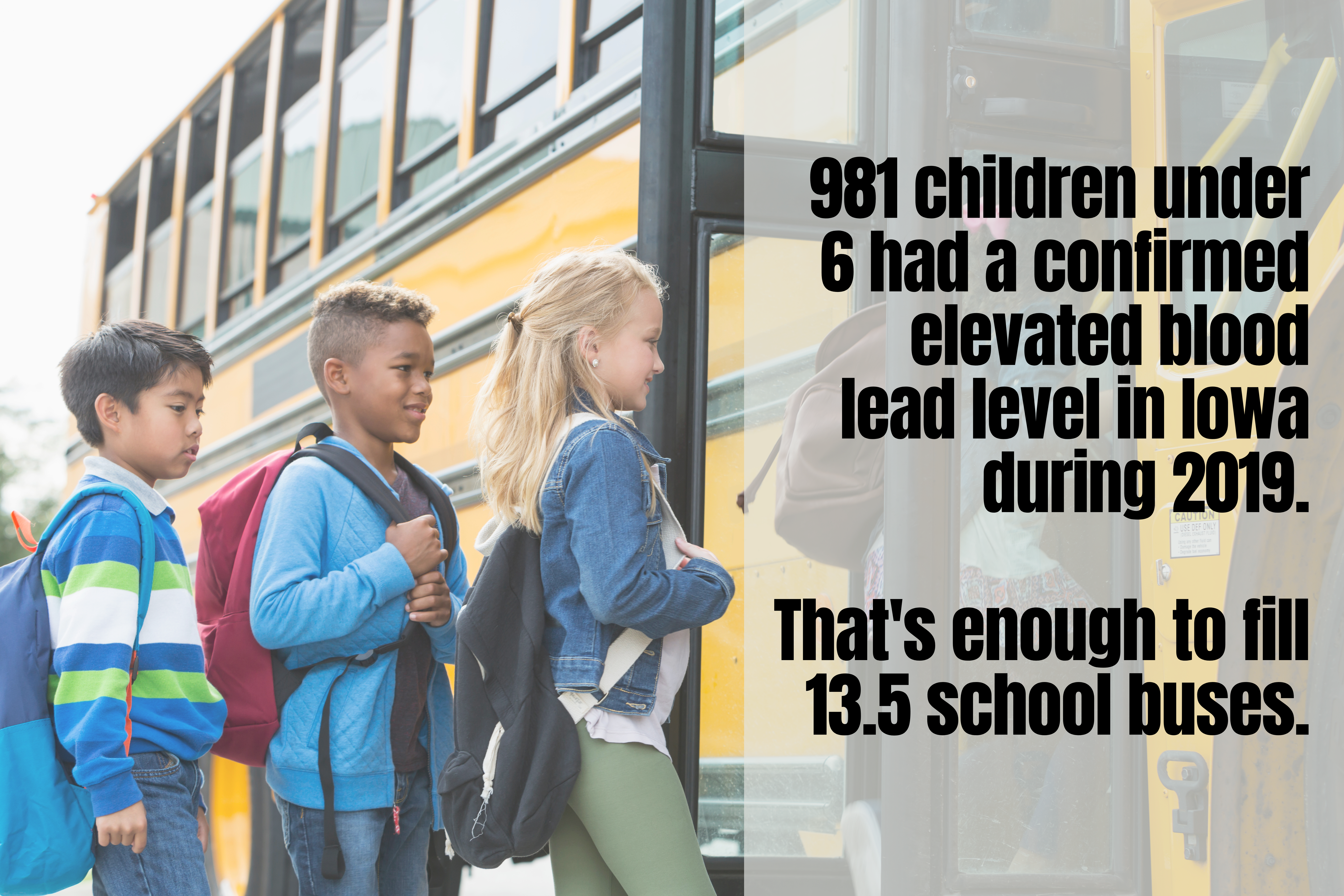 981 children had a confirmed elevated blood lead level in Iowa during 2019