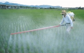 pesticide poisoning surveillance