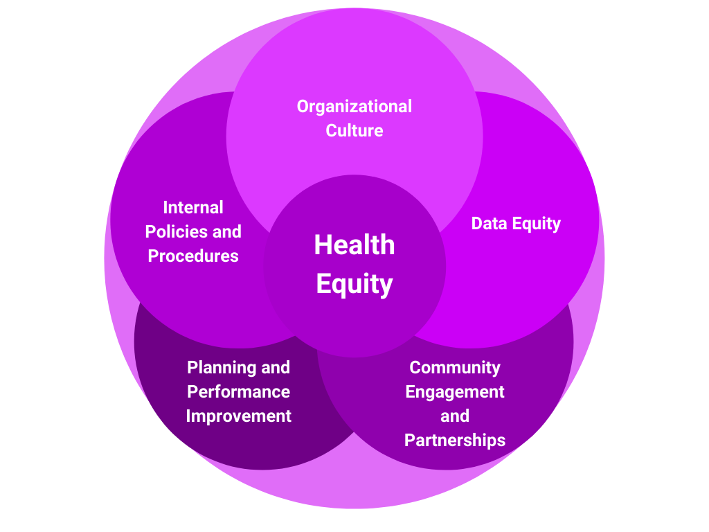 IDPH health equity image, circles with named focus areas.