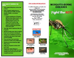 Image of mosquito-borne disease brochure
