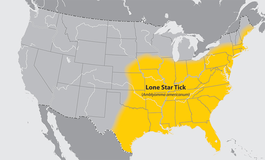 Image of the geographic distribution of the lone star tick