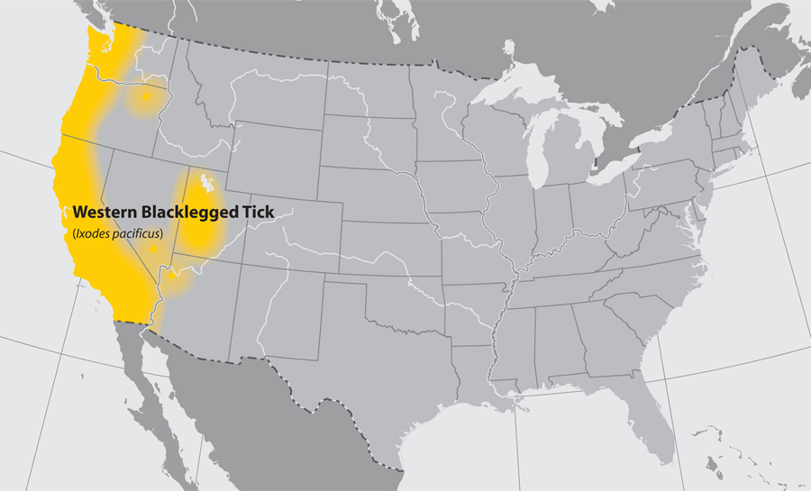 Geographic distribution of Western Blacklegged tick